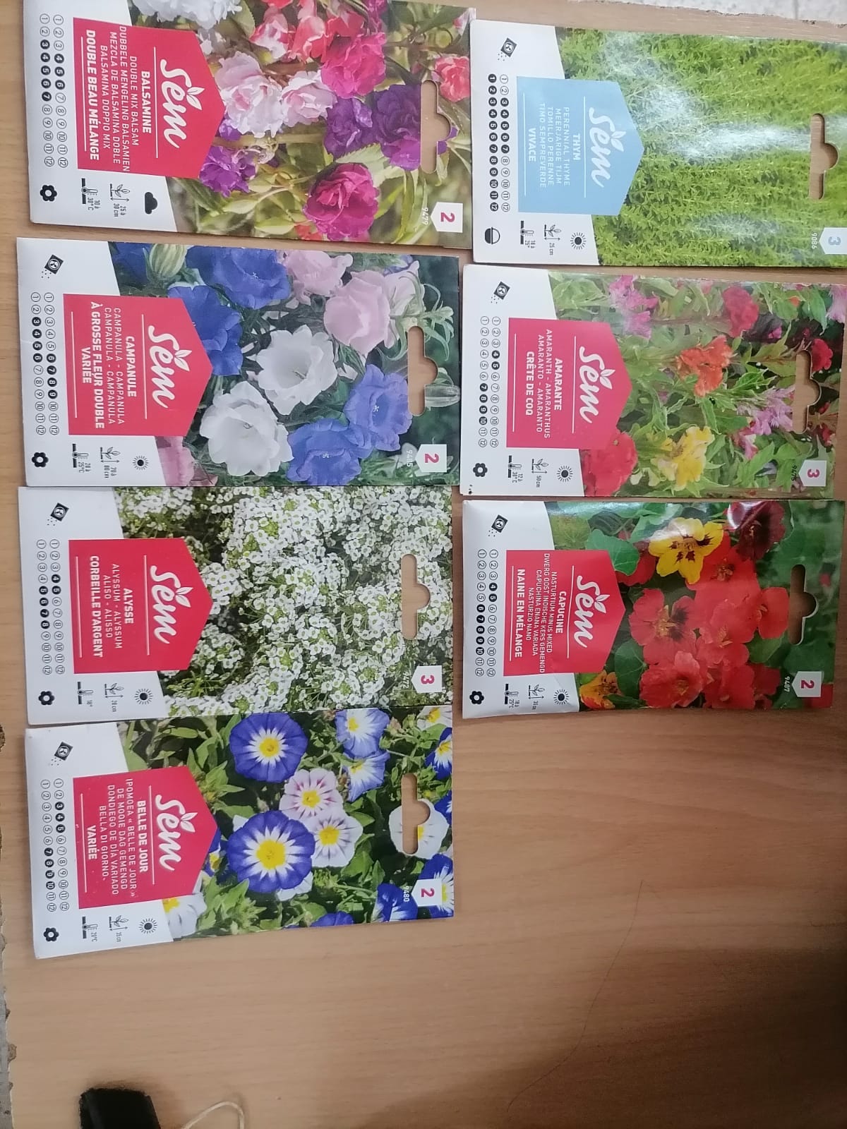 بذور الزهور